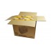 JAPLO IPUMP MILK STORAGE BOTTLE - 6 PCS (12 consumer boxes (1 inner box))